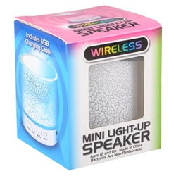 Mini Light Up Speaker 